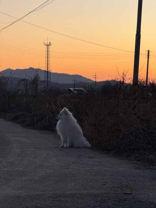 강나루야영장