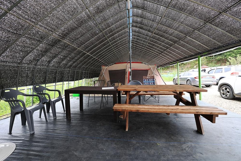 고성 탑 글램핑 농원 시설 사진 22