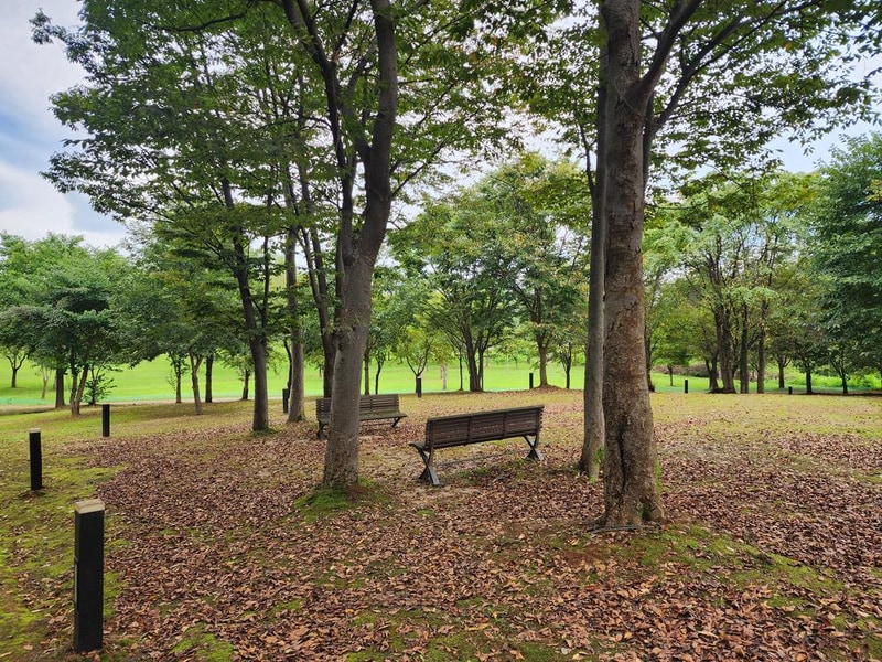 연천 전곡리유적 구석기 체험숲 시설 사진 11