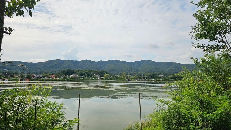 숲속에안뜰 캠핑장 시설 사진 24