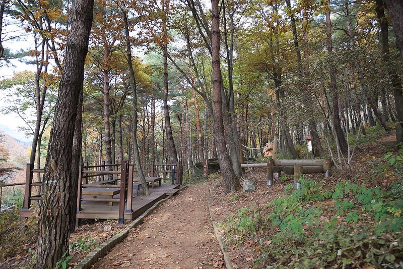 숲속야영장 시설 사진 4