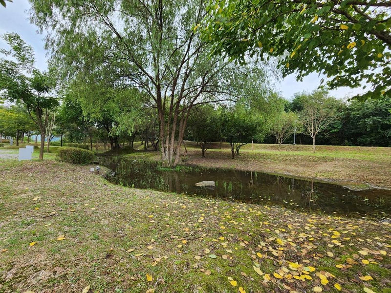 연천 전곡리유적 구석기 체험숲 시설 사진 2