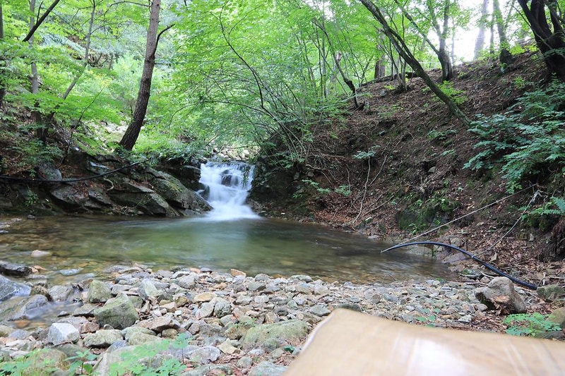 홍천 무네미 별마루 관광농원 시설 사진 4