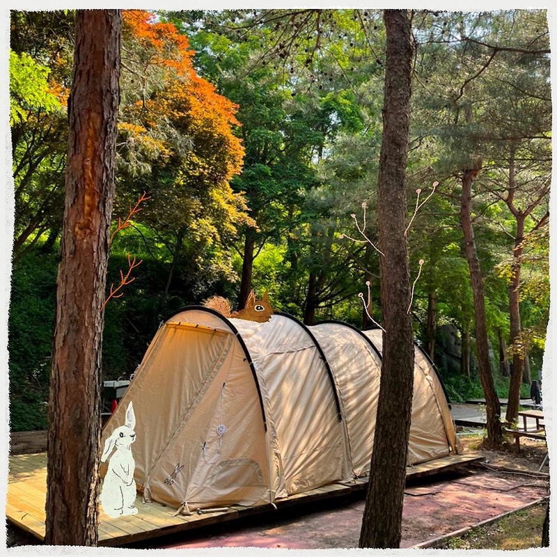 반달곰이 살던 숲 시설 사진 9