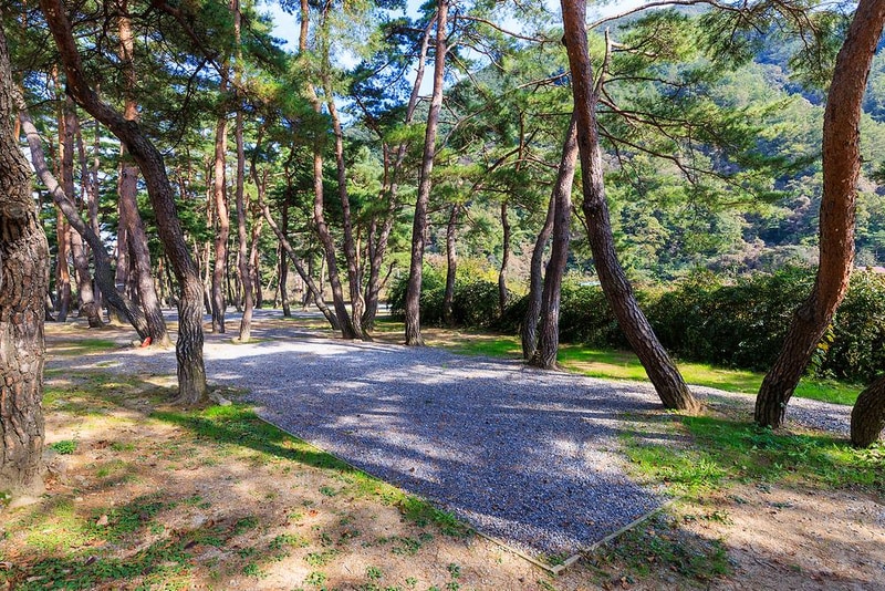 월악산억수솔밭캠핑장 시설 사진 2