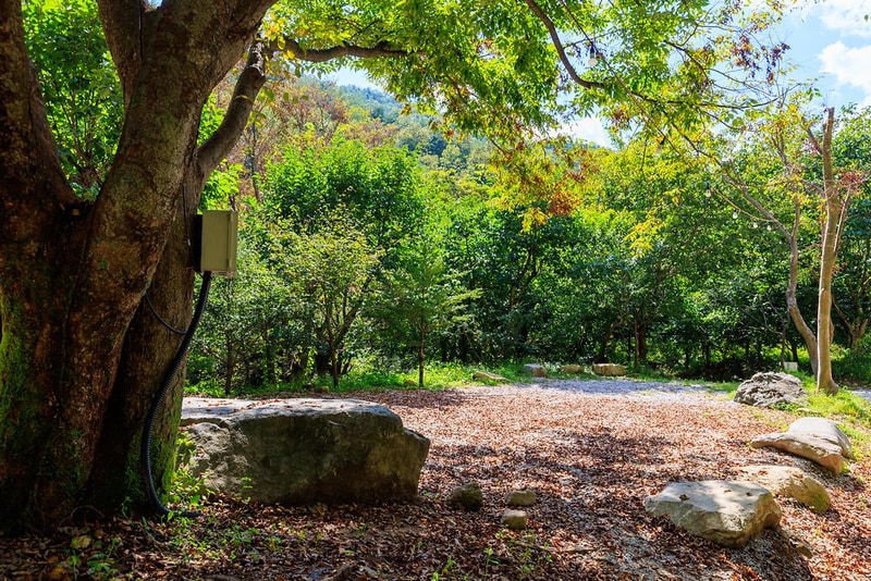 옥당걸숲속관광농원 시설 사진 17