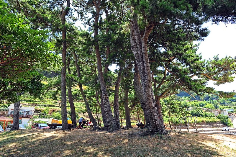 두모마을야영장 시설 사진 7