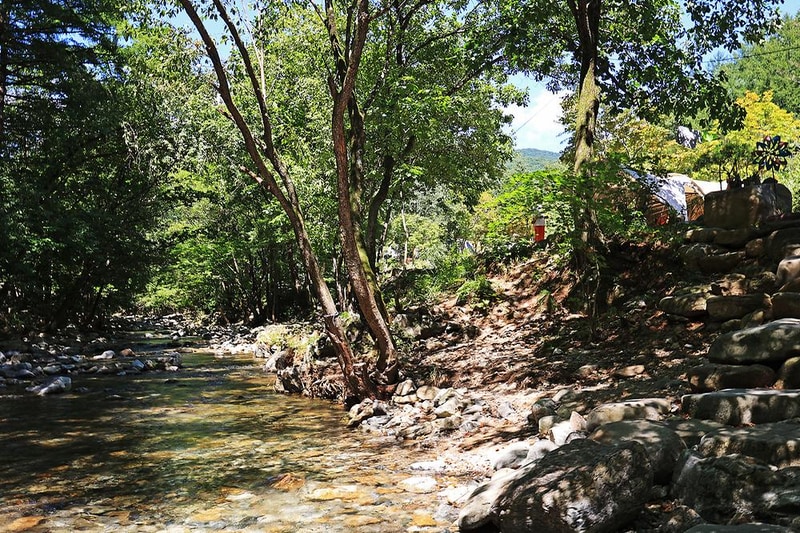 평창 자연속쉼표캠핑장 시설 사진 25