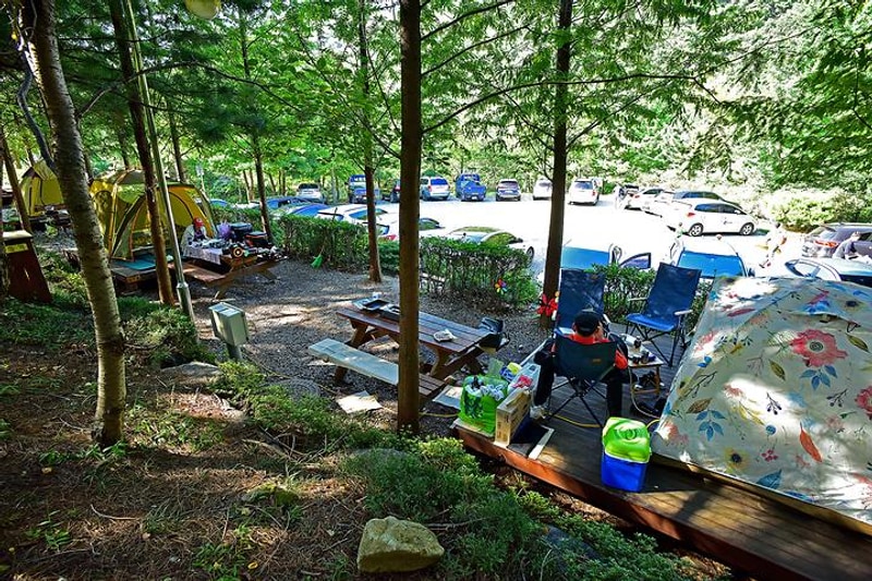 대운산자연휴양림 야영장