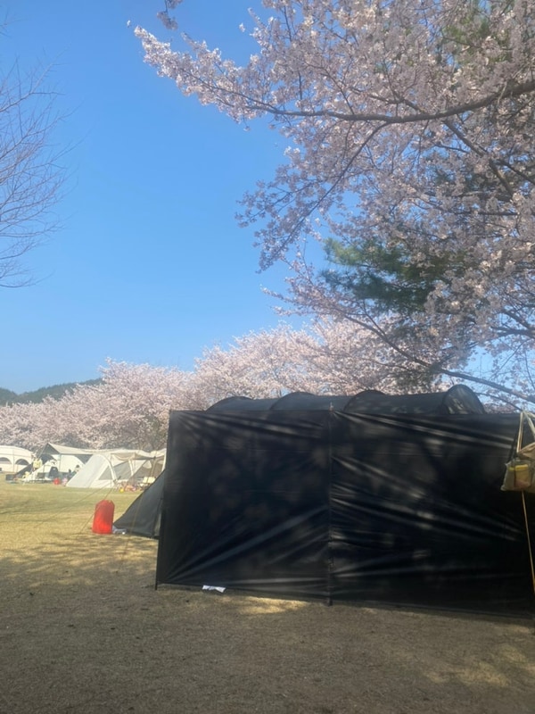 [일상] 다시 떠나고 싶어지는 마음, 재작년 포항 칠포오토캠핑장...