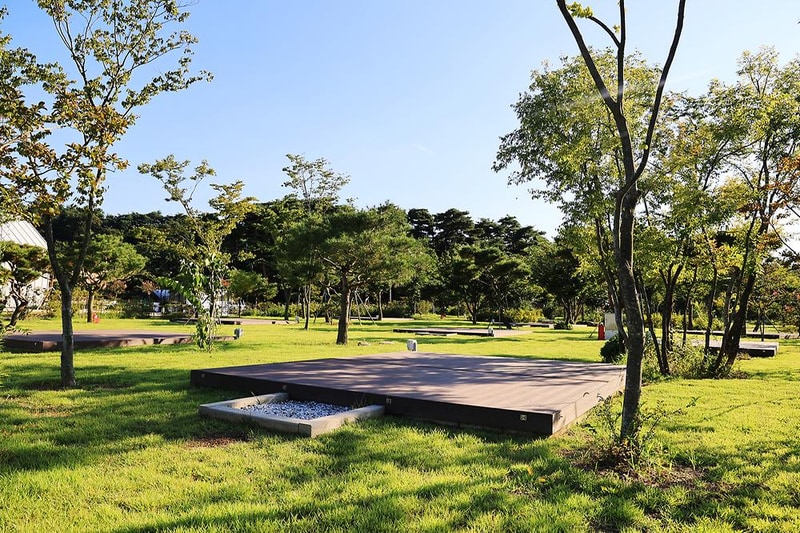 342 camp 시설 사진 12