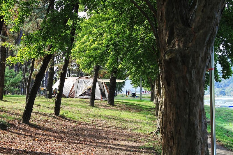 송호국민관광지 야영장 시설 사진 14