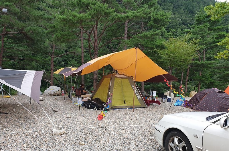 왕피천하늘담야영장 시설 사진 23