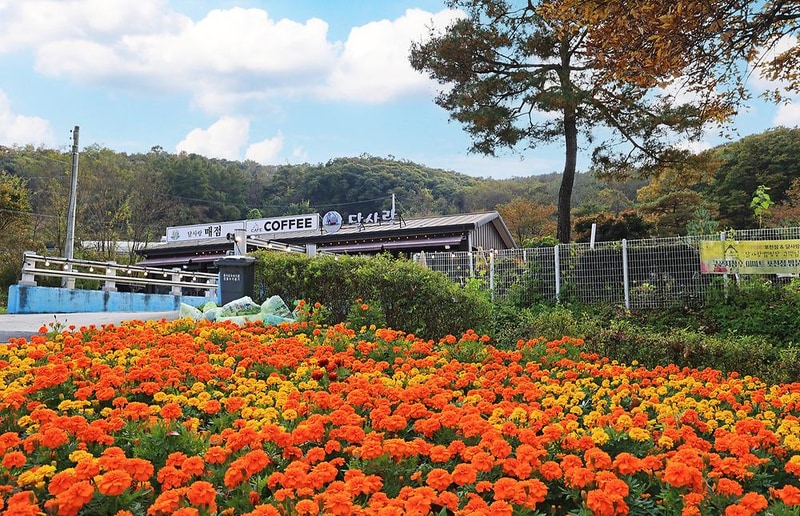 달사랑 캠핑장 시설 사진 7