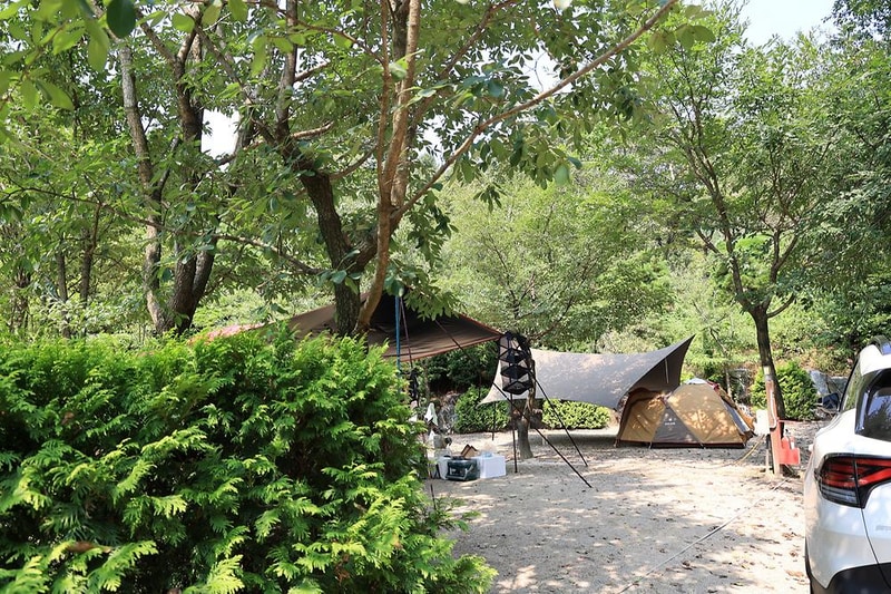 파이브이모션관광농원 시설 사진 10