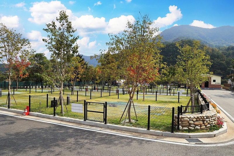 아워 포레스트 시설 사진 19