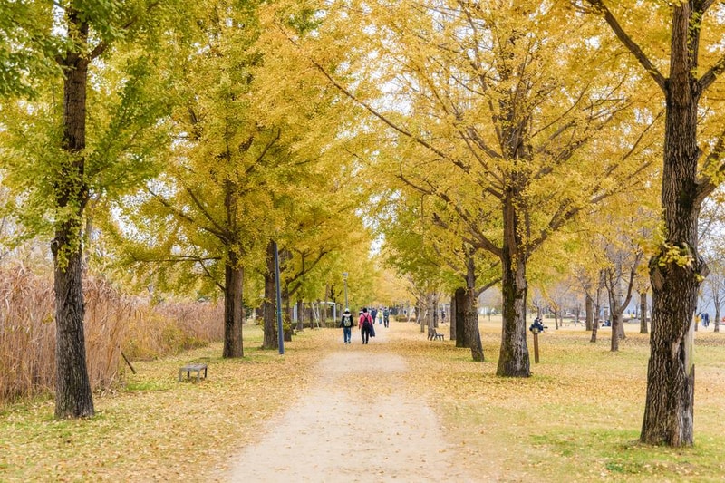 강천섬캠핑장 시설 사진 58