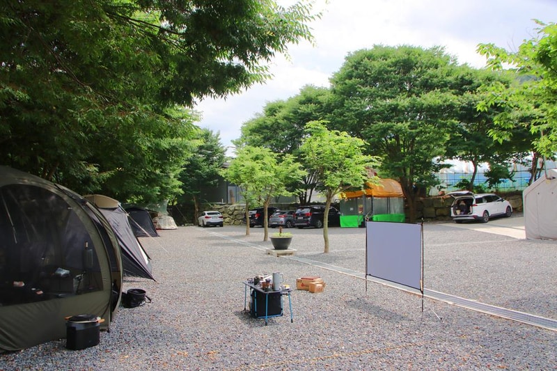 법흥계곡캠핑오늘 시설 사진 21