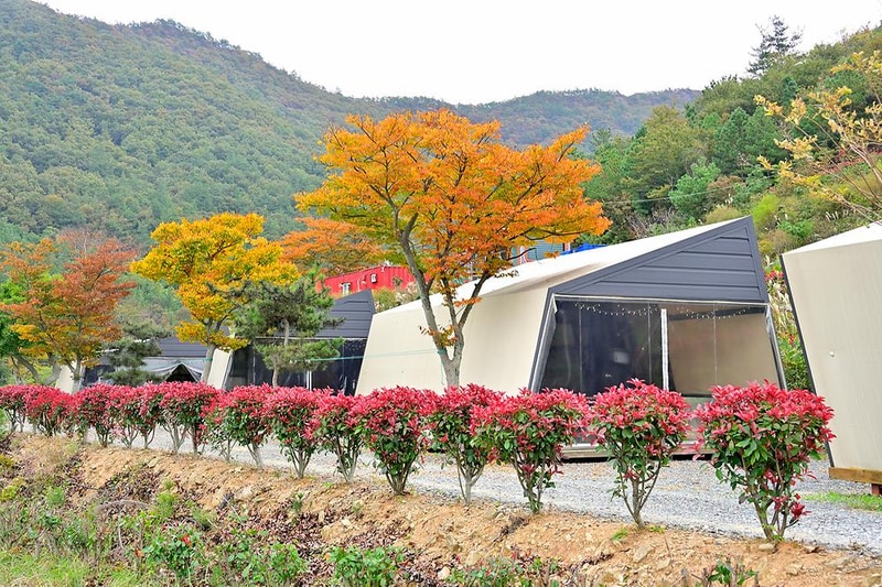 큐브 빌리지 글램핑 시설 사진 10