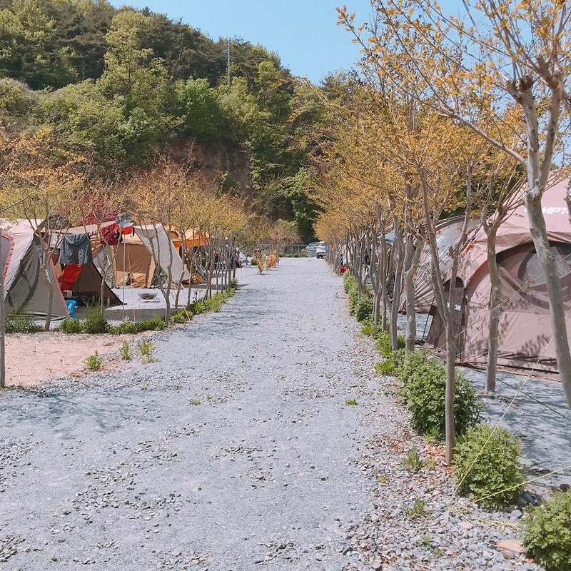 팔봉갯벌체험야영장 시설 사진 15