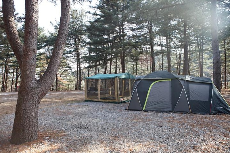 (주)수동자연마을 힐링별밤수목원캠핑장 대표 사진