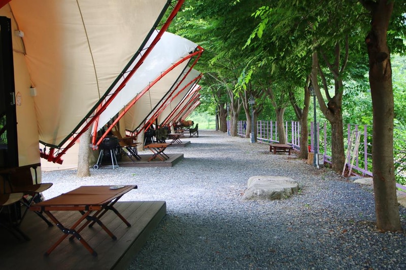 단양 글램핑&펜션 시설 사진 19