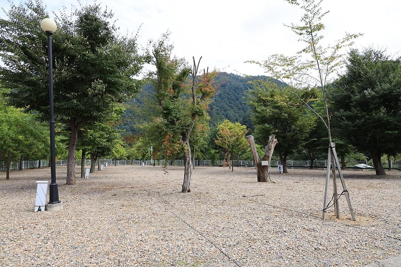 블루래빗 시설 사진 10