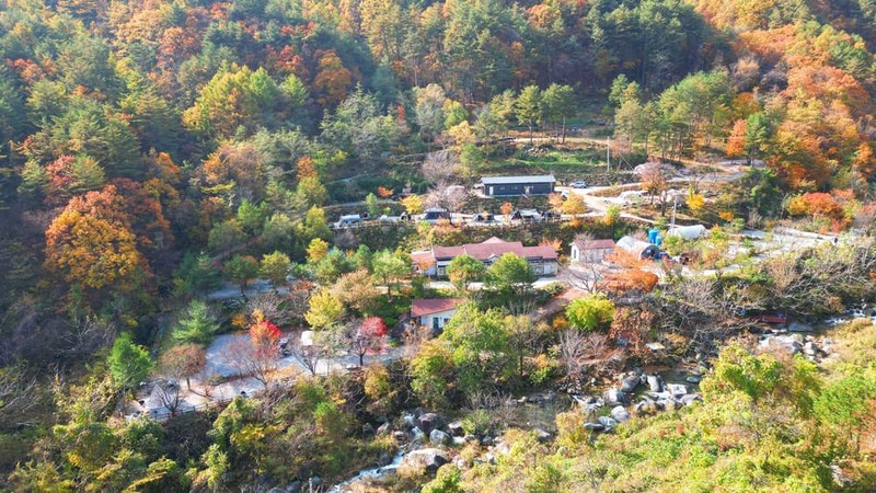 정원캠핑장 시설 사진 31