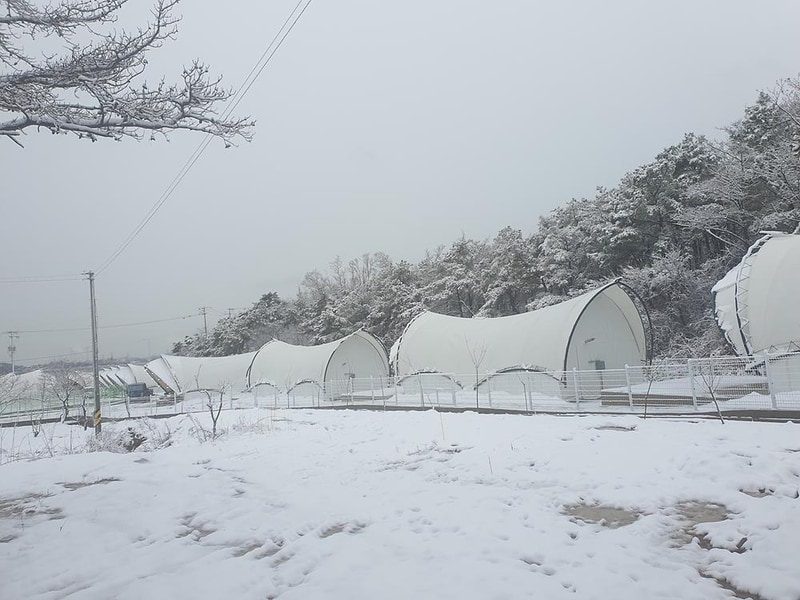 골드 오션 글램핑 시설 사진 7