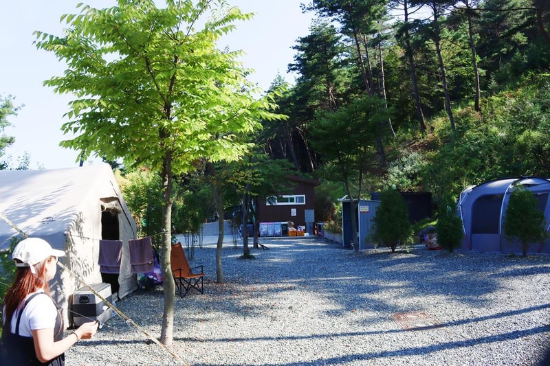 (주)러블레싱(LOVEBLEESING INC) 시설 사진 13