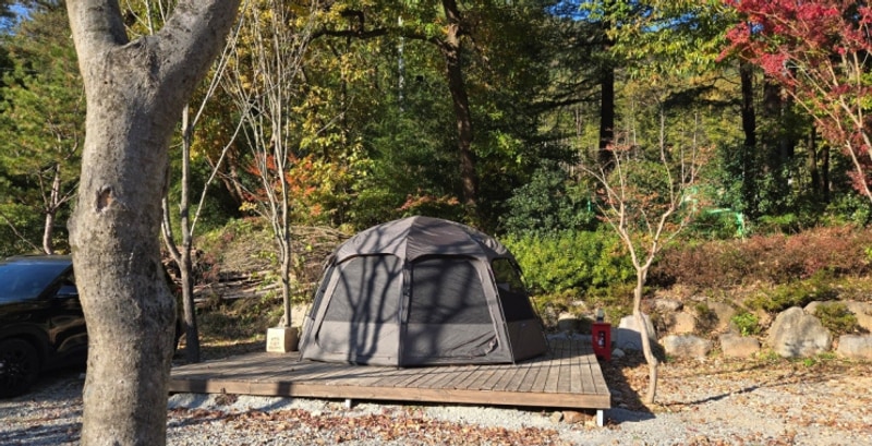 삼인산밸리캠핑장 대표 사진