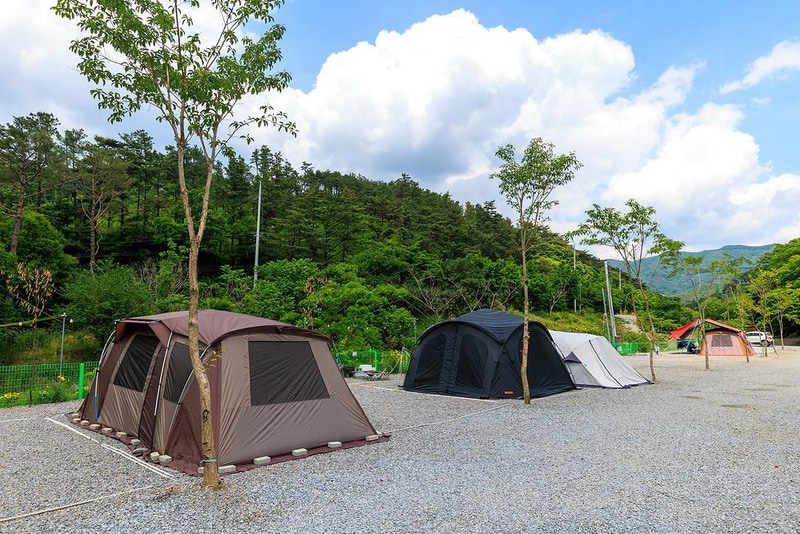 금계관광농원 시설 사진 13