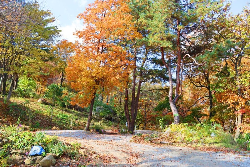 정원캠핑장 시설 사진 10