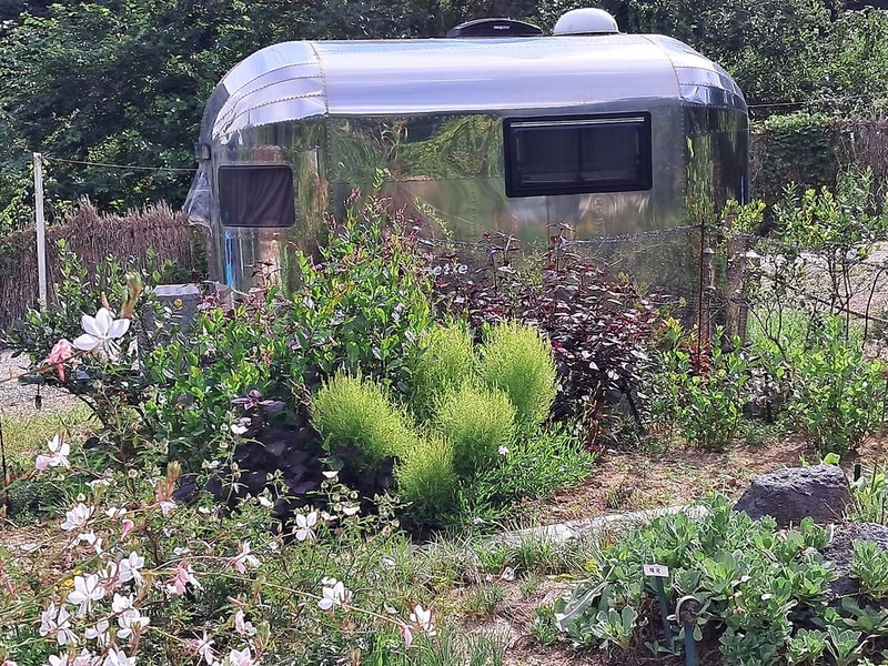 야생초마을아미골 시설 사진 7