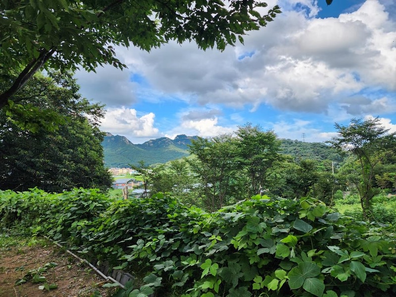 봄이오는 캠프 시설 사진 13