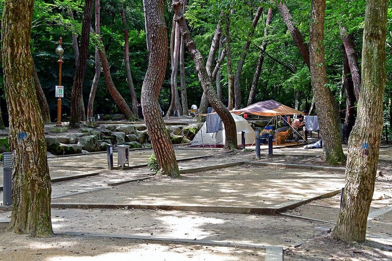 치인야영장 시설 사진 3