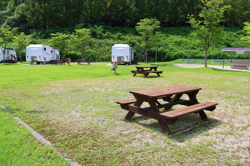 화천에코스쿨 생태체험장 시설 사진 17