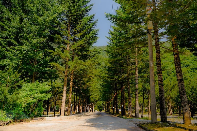 가리왕산 정원 캠핑장 시설 사진 19