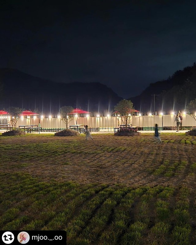 대암 팜트리 시설 사진 6