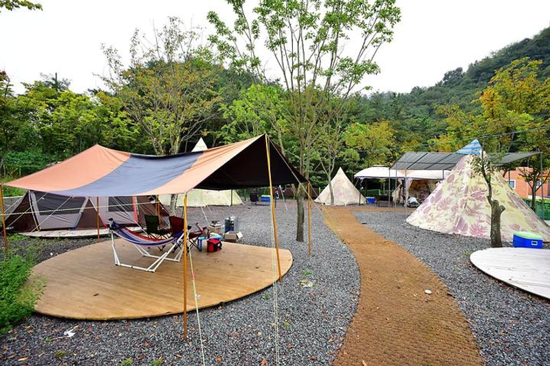 한별 도그파크 대표 사진