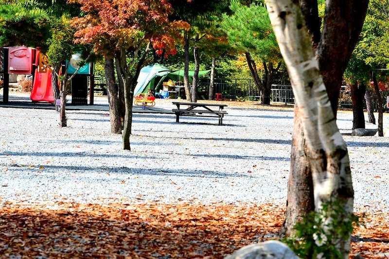 또올래캠핑장 시설 사진 13