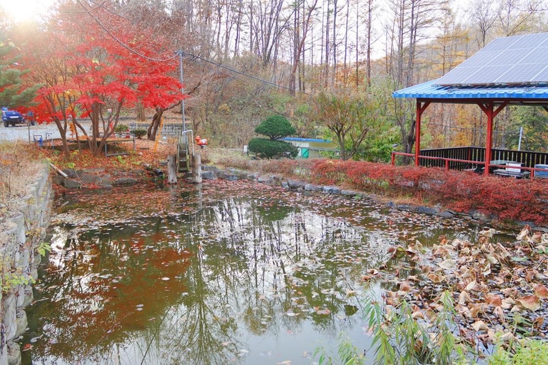 캠핑하는 집 시설 사진 5