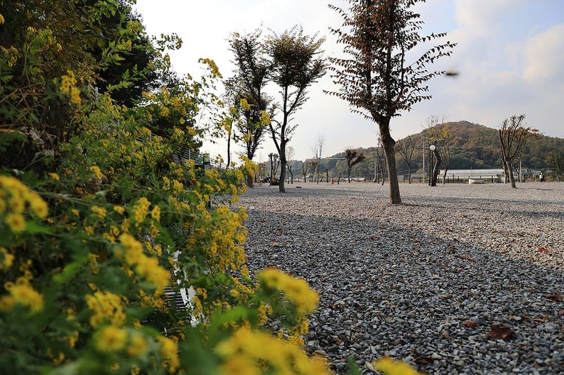 한솔 스테이 시설 사진 4