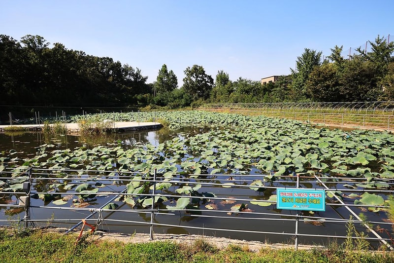 은지가족야영장 시설 사진 1