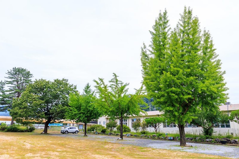 충주 비내캠프 체험학습장 시설 사진 14