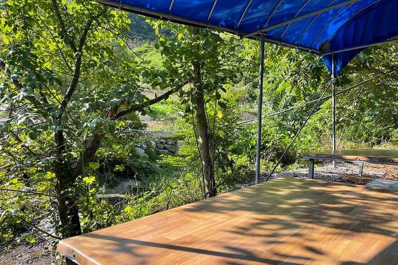 천안 트리하우스 시설 사진 2