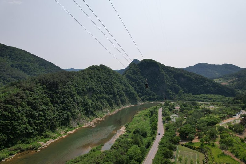 정선군생태체험학습장야영장 펫 동반 캠핑장 시설 사진 79