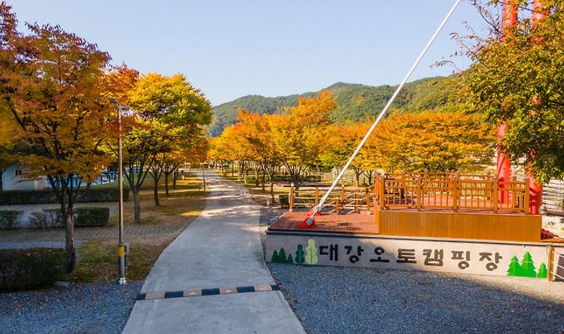 대강오토캠핑장