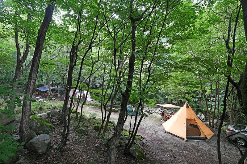 용추자연휴양림야영장 대표 사진