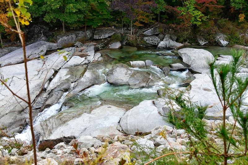 월성오토캠핑장 시설 사진 6